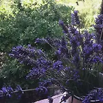 Casa Della Fonte-chianti *