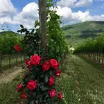 Casa Della Fonte-chianti Gaiole in Chianti