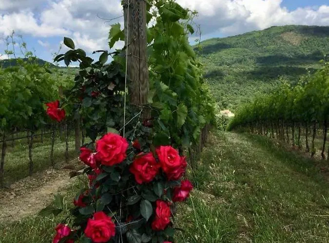 Casa Della Fonte-chianti Gaiole in Chianti